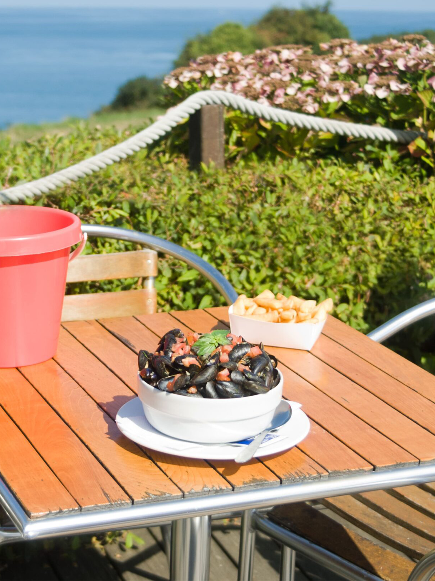 Plat de moules fraîches accompagnées de frites croustillantes au restaurant Crapaud Rouge