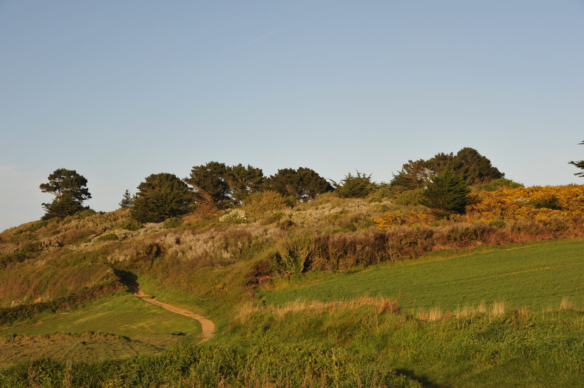 Vue panoramique du restaurant Crapaud Rouge et de son cadre côtier à Plouha